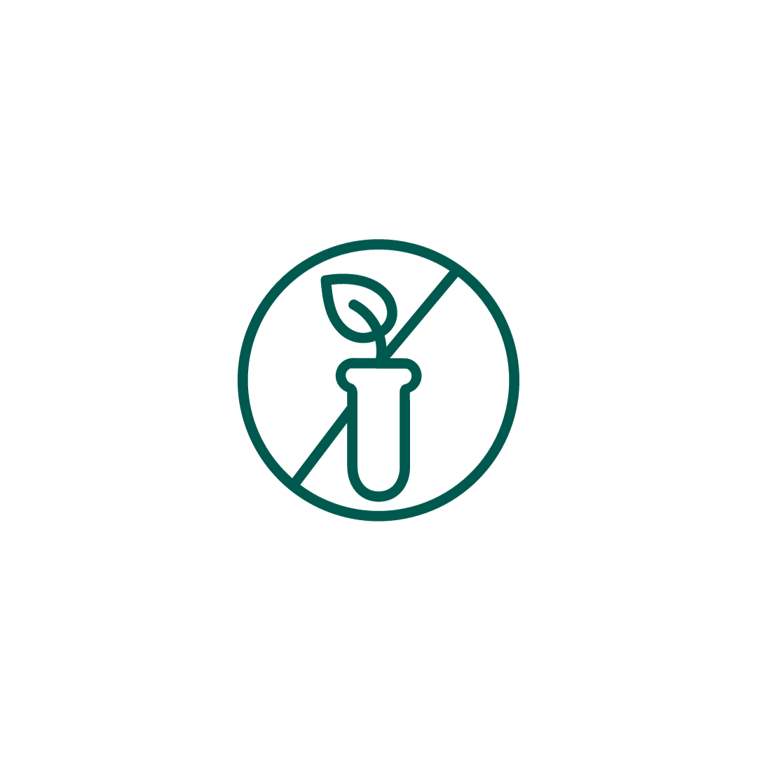 Non-GMO icon (green).png