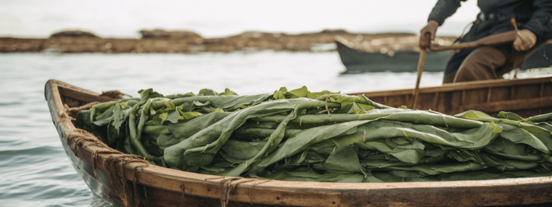 Boat full of seaweed